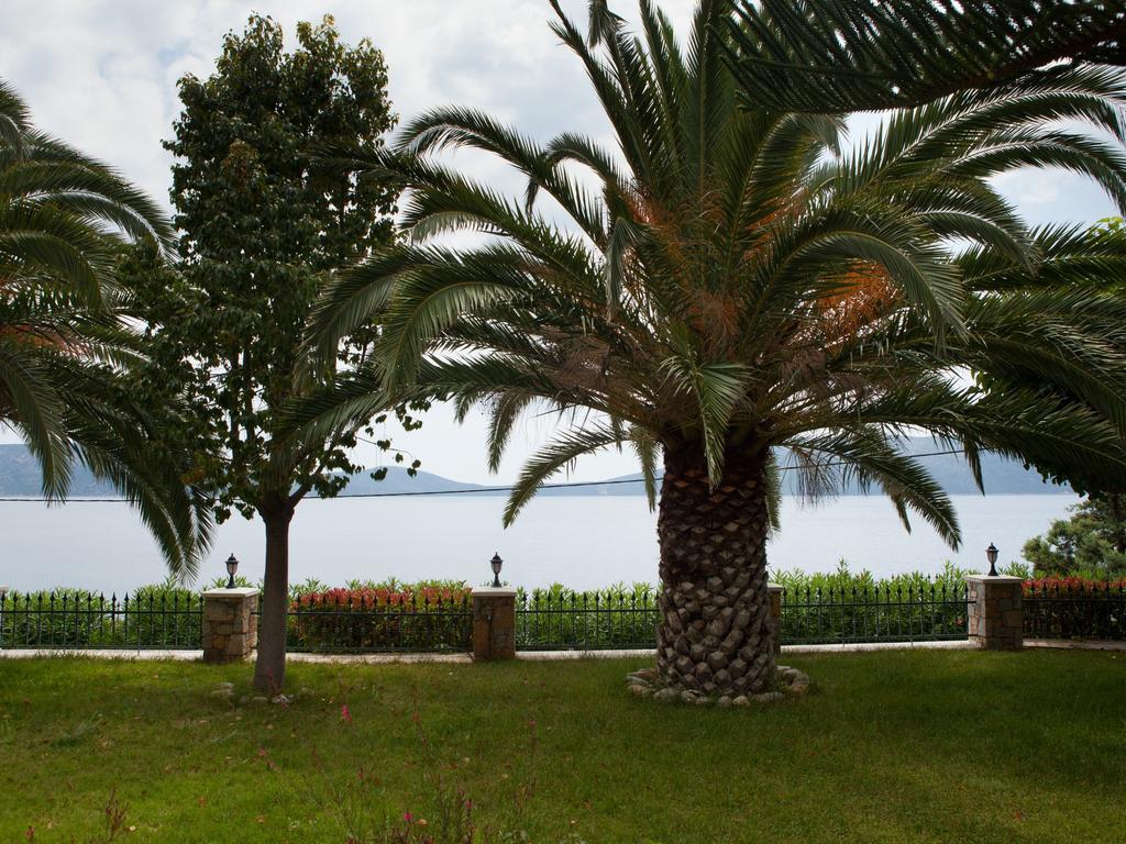 Alonissos Muses Villas Kalamakia Ngoại thất bức ảnh