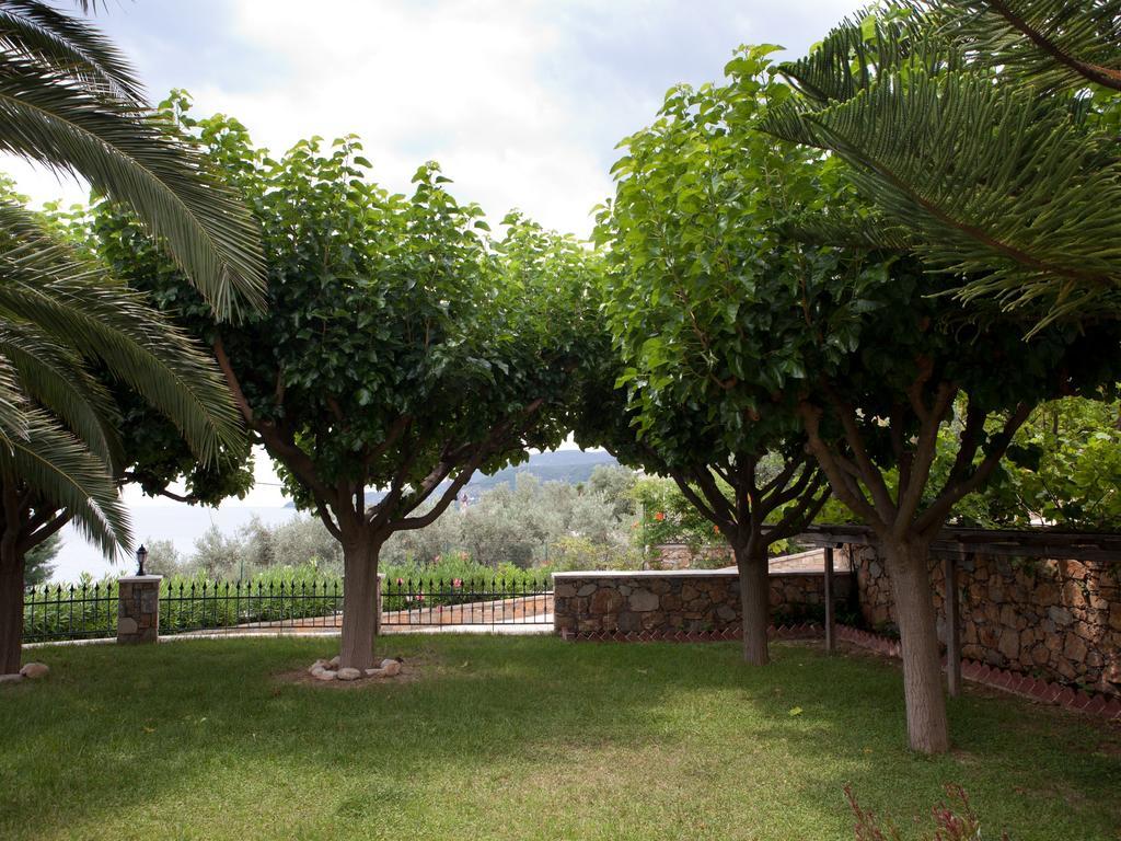 Alonissos Muses Villas Kalamakia Ngoại thất bức ảnh
