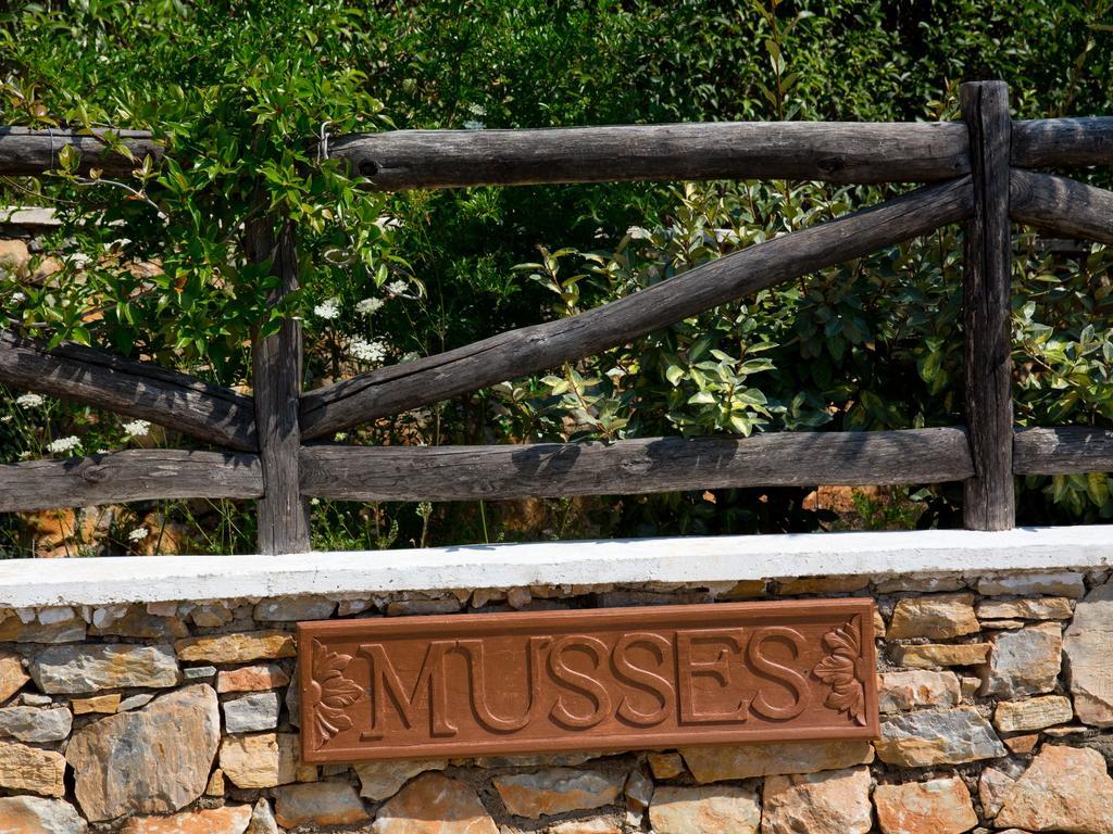 Alonissos Muses Villas Kalamakia Ngoại thất bức ảnh