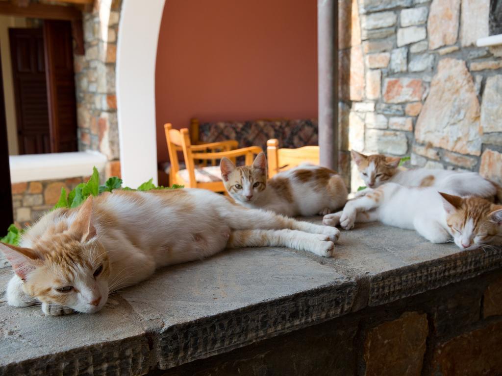 Alonissos Muses Villas Kalamakia Ngoại thất bức ảnh