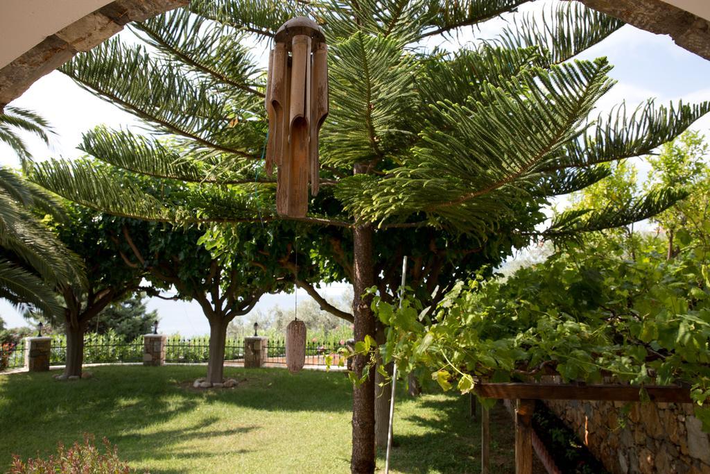 Alonissos Muses Villas Kalamakia Ngoại thất bức ảnh
